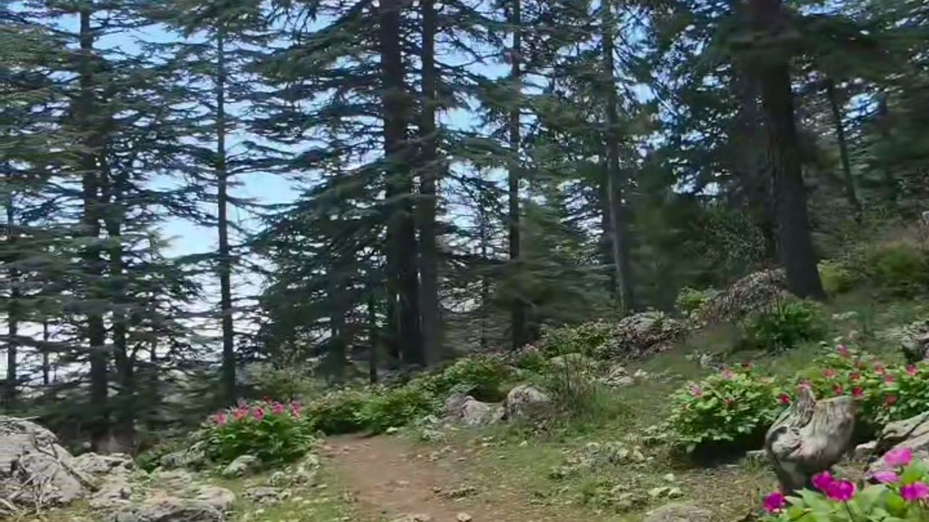 2026-06-23-200130063